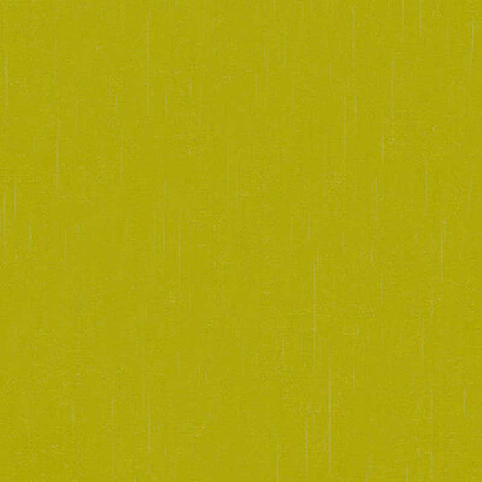 Kravet Basics Flirt Turtle Fabric 32606.303.0