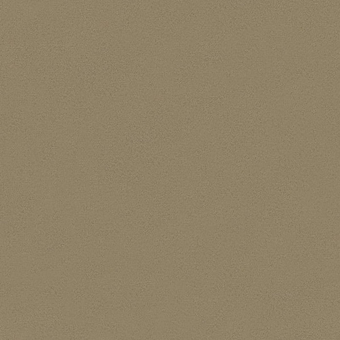 Kravet Basics Broadmoor Bark Fabric 32642.1611.0