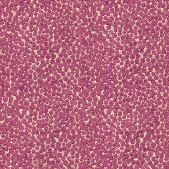 Kravet Couture Polka Dot Plush Plum Fabric 32972.10.0