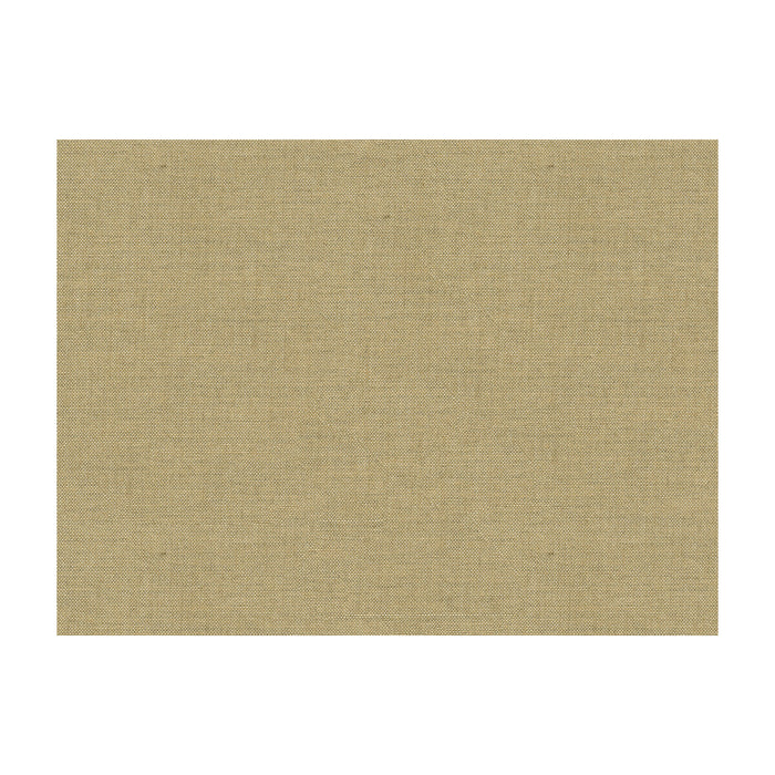 Kravet Smart 33225.1616.0 Fabric