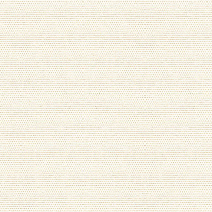 Kravet Design Cover Salt Fabric 33496.101.0