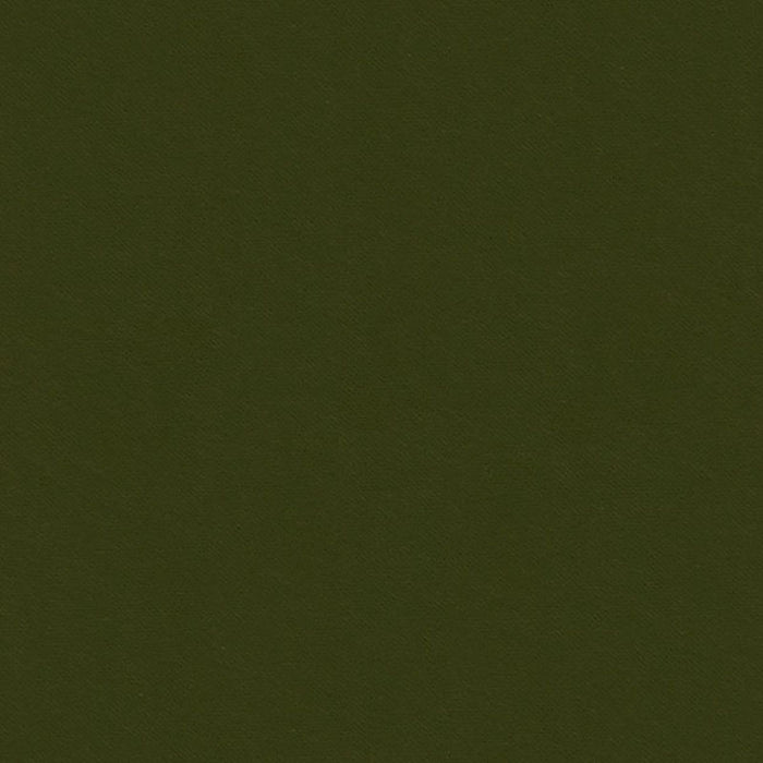Kravet Design Terni Shadow Fabric 33665.2111.0