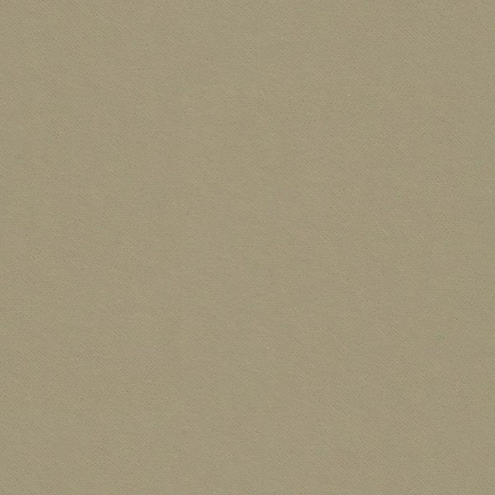 Kravet Design Terni Pebble Fabric 33665.21.0