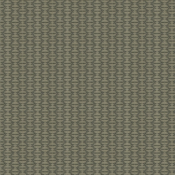 Kravet Contract Nzuri Thunder Fabric 33862.1621.0