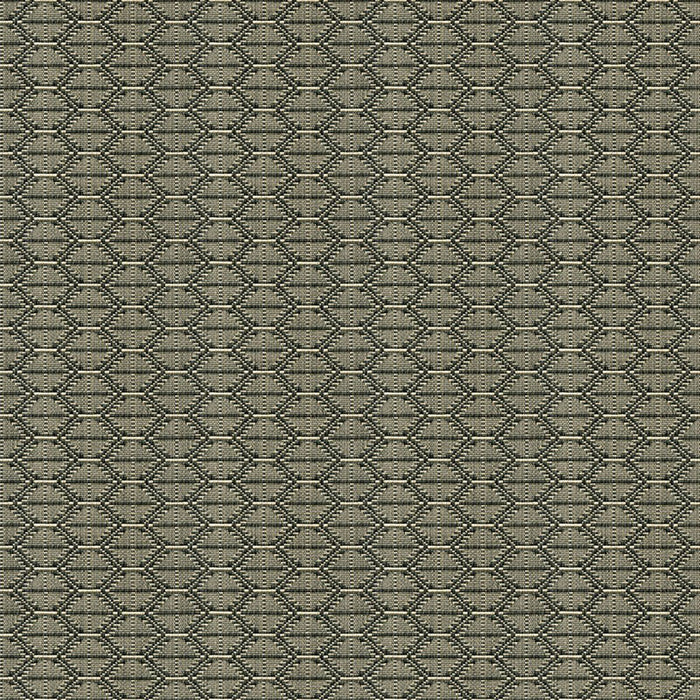 Kravet Design 33880 1621 Fabric 33880.1621.0