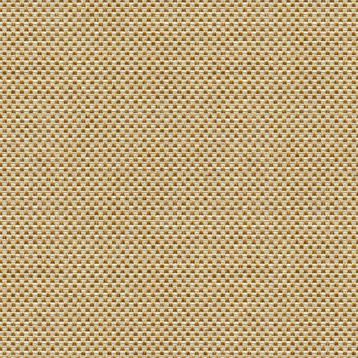 Kravet Design Sener Ochre Fabric 33887.416.0
