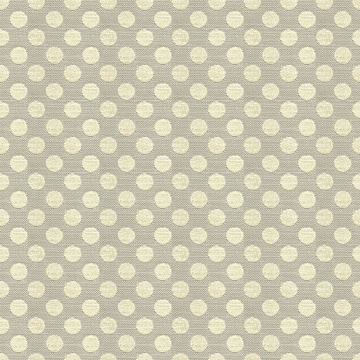 Kravet Design Posie Dot Sterling Fabric 34070.1611.0