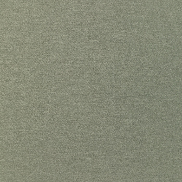 Kravet Smart 36110 311 Fabric 36110.311.0