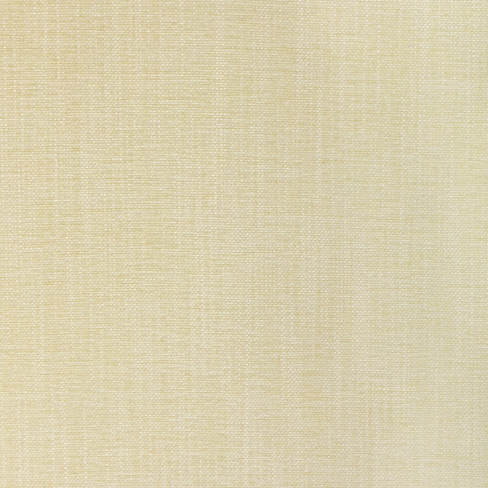Kravet Smart 36650 1111 Fabric 36650.1111.0