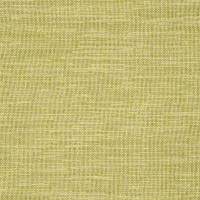 Designers Guild Cosia 8 Fabric FDG2267-08