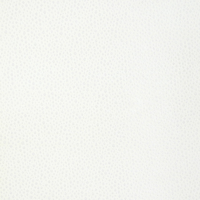 Kravet Design Tip The Scale Snow Fabric 36783.1.0