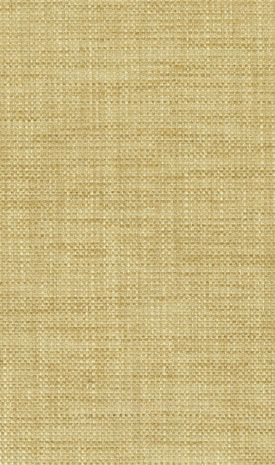 Osborne & Little Papilio Plains Ii 8 Fabric F5760-08