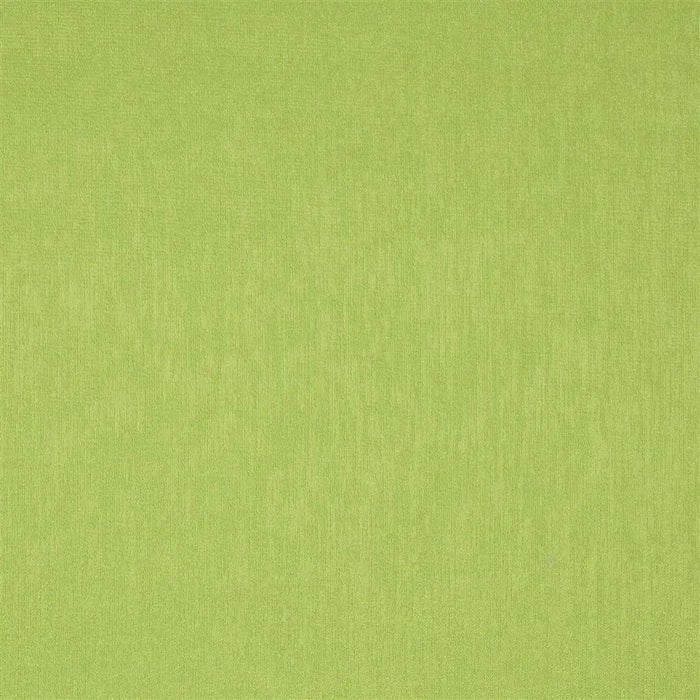 Christian Lacroix Roseau 22 Fabric FCL2269-22