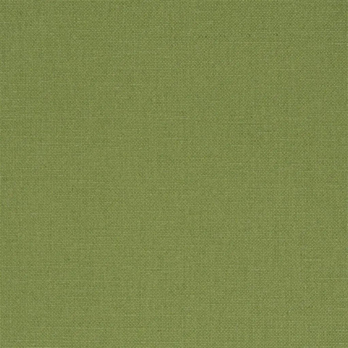 Designers Guild Manzoni 31 Fabric FDG2255-31