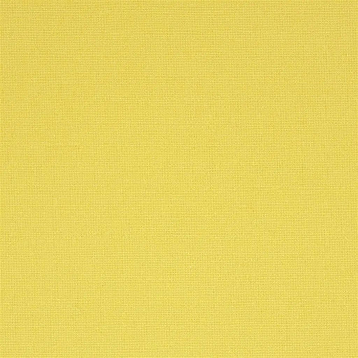 Designers Guild Manzoni 76 Fabric FDG2255-76
