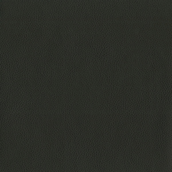 Brentano Terrain Noir Fabric 3981-16
