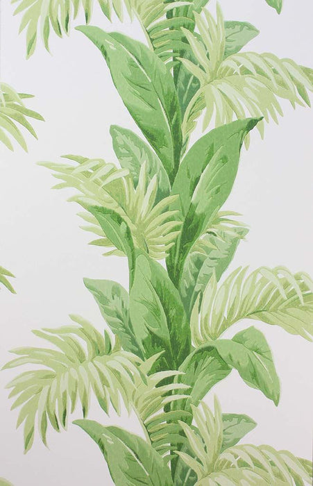 Nina Campbell Palmetto 1 Wallpaper NCW4274-01
