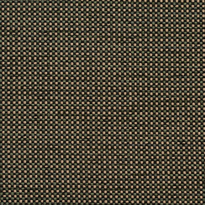 Charlotte Alpine Fabric 4115