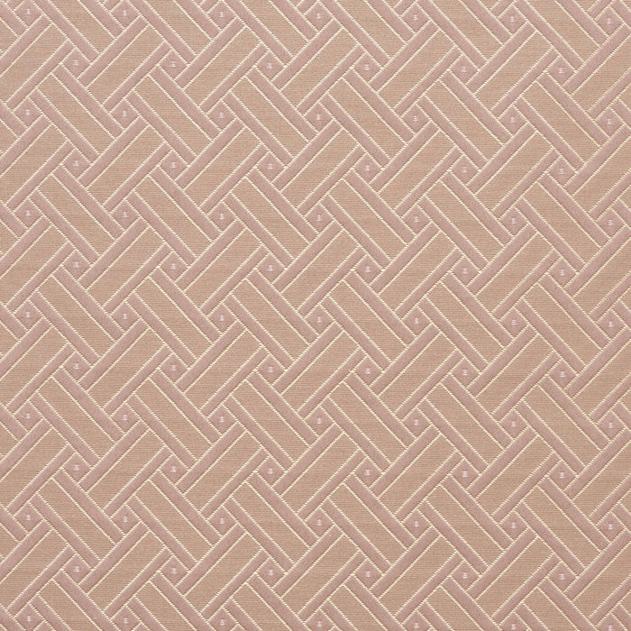 Charlotte Primrose Lattice Fabric Sample 4130