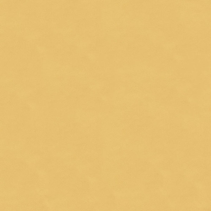 Kravet Contract Luster Satin Shell Fabric 4202.114.0