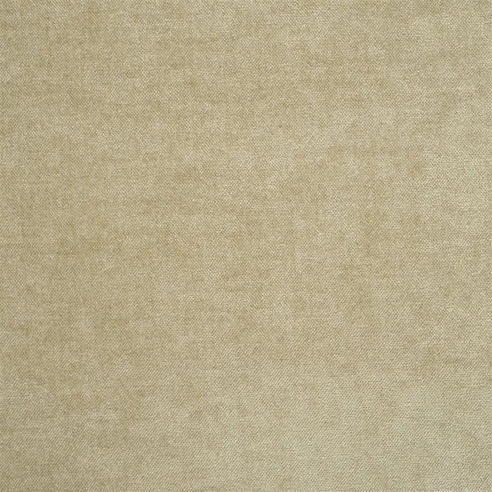 Designers Guild Zaragoza 41 Fabric FDG2333-41