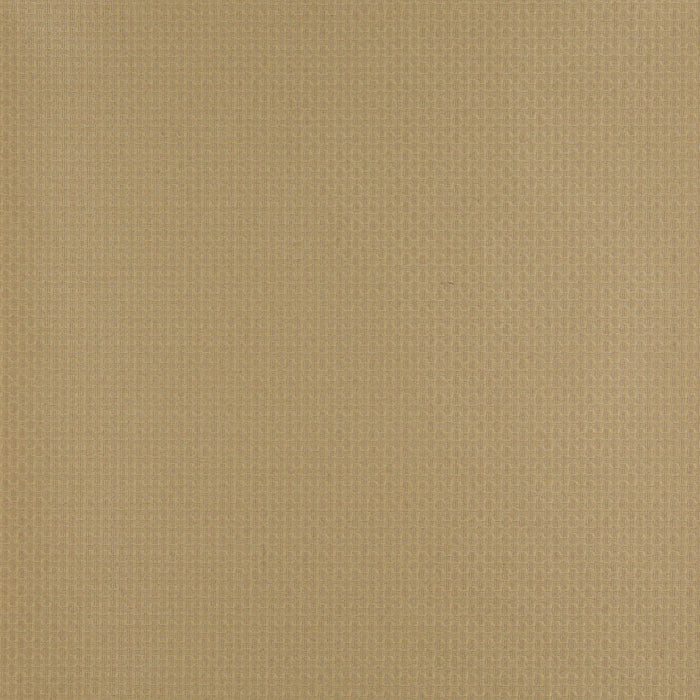 Charlotte Harvest Fabric Sample 4346