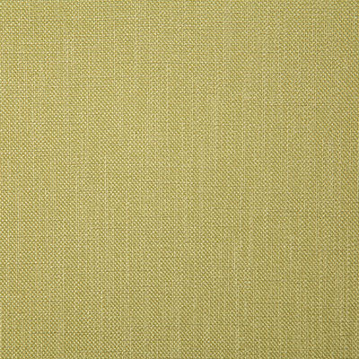 Pindler Rosario Citrus Fabric 4357