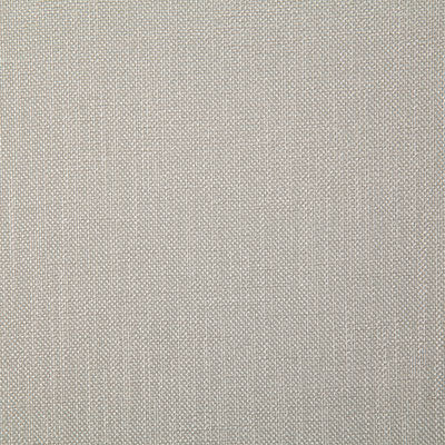Pindler Rosario Mica Fabric 4357