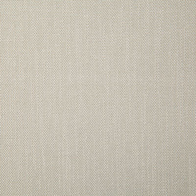 Pindler Rosario Papyrus Fabric 4357
