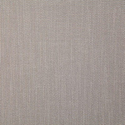 Pindler Rosario Putty Fabric 4357
