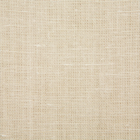 Pindler Fabienne Ecru Fabric 4580