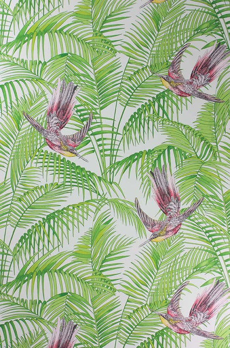 Matthew Williamson Sunbird 2 Wallpaper W6543-02