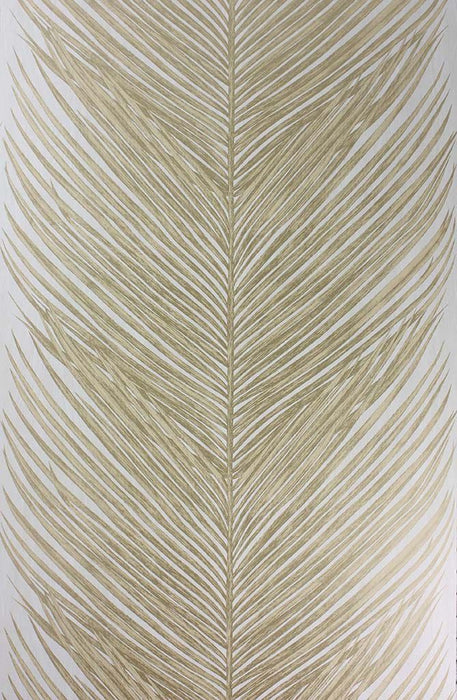 Nina Campbell Mey Fern 1 Wallpaper NCW4154-01