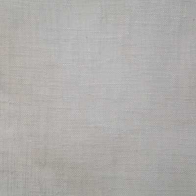 Pindler Aiyana Platinum Fabric 5094