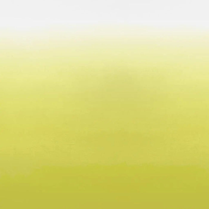 Designers Guild Saraille Panel (3m) 3 Wallpaper P600-03
