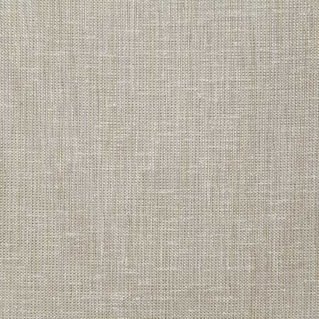 Pindler Marletta Shell Fabric 5776