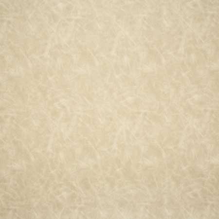 Pindler Wrangler Buff Fabric 6138