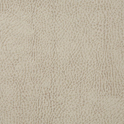Pindler Buckaroo Beige Fabric 6139