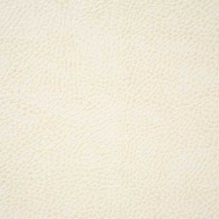 Pindler Buckaroo White Fabric 6139