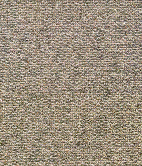 Brentano Cozy Grey Kitten Fabric 6544-03