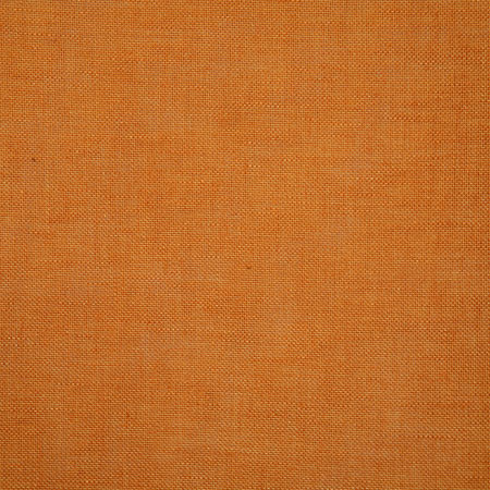 Pindler Bretton Rust Fabric 6611