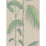 Cole & Son Palm Leaves Taupe/G Wallpaper 66/2011.CS.0