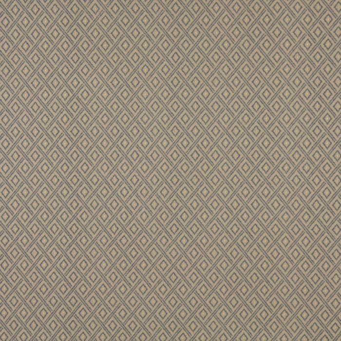 Charlotte Denim/diamond Fabric Sample 6726