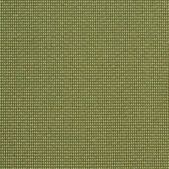 Charlotte Ivy/dot Fabric 6745