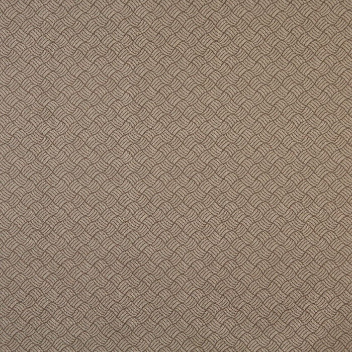 Charlotte Acorn/metro Fabric 6764