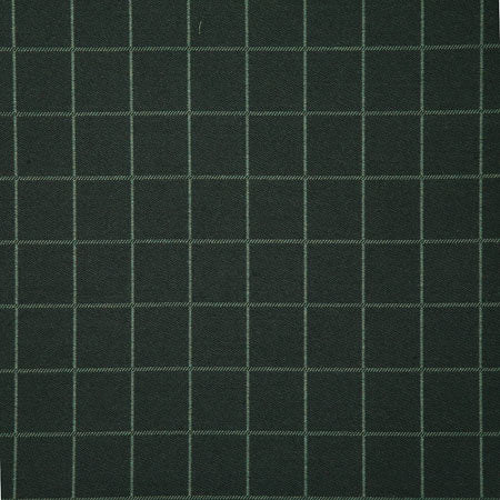 Pindler Boxi Pine Fabric 6764