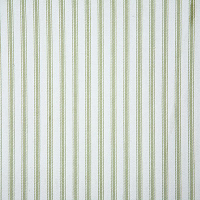 Pindler Trudie Fern Fabric 6953