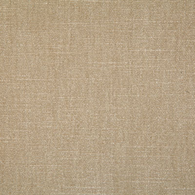 Pindler Kennedy Champagne Fabric 7050