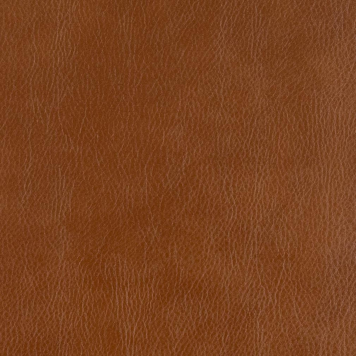 Charlotte Palomino Fabric 7087