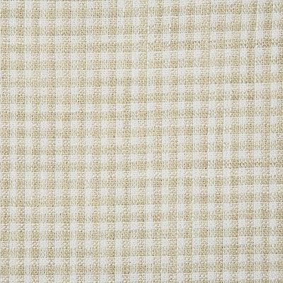 Pindler Melville Beach Fabric 7095